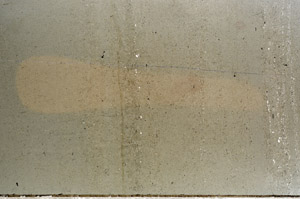 Plane Polarized, N4303