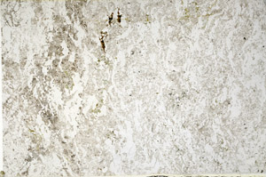 Plane Polarized, N4755