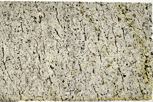 Plane Polarized, N4769