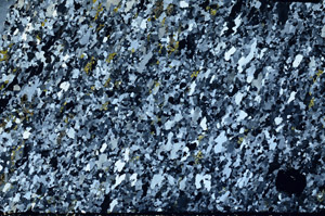 Cross Polarized, N4770