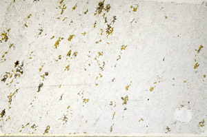 Plane Polarized, N4770