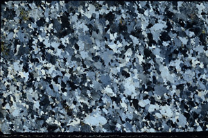 Cross Polarized, N4773