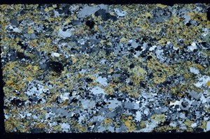 Cross Polarized, N4774