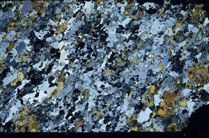 Cross Polarized, N4776