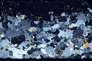 Cross Polarized, N4778