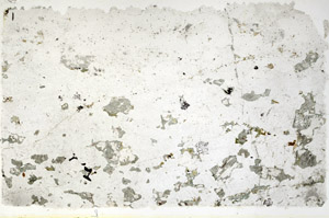 Plane Polarized, N4778