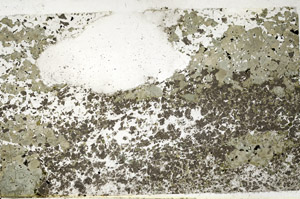 Plane Polarized, N4783
