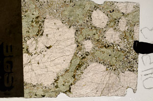 Plane Polarized, N4787