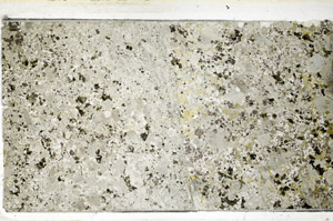 Plane Polarized, N4788