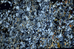 Cross Polarized, N4789