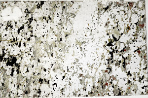 Plane Polarized, N4789