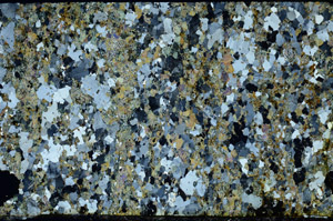Cross Polarized, N4790