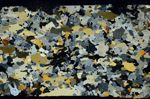 Cross Polarized, N4791
