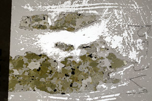 Plane Polarized, N4792