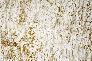 Plane Polarized, N4948