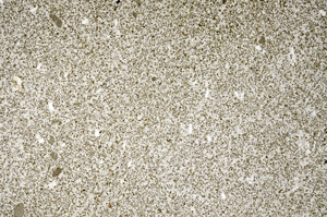 Plane Polarized, N5307