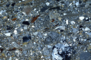 Cross Polarized, N5310