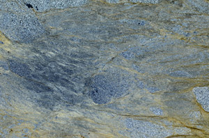 Cross Polarized, N5311