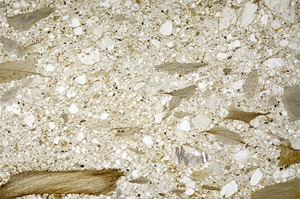 Plane Polarized, N5313