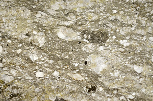 Plane Polarized, N5314