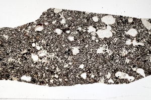 Plane Polarized, N5335