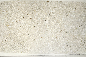 Plane Polarized, N5374