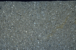 Cross Polarized, N5440