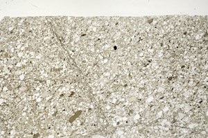 Plane Polarized, N5441