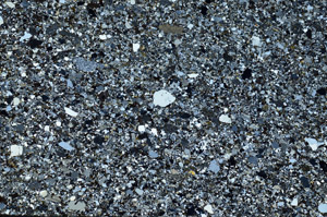 Cross Polarized, N5563