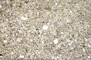 Plane Polarized, N5563