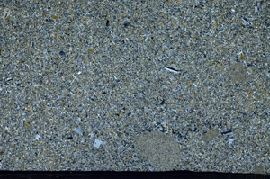 Cross Polarized, N5565