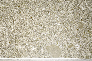 Plane Polarized, N5565