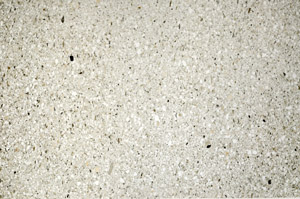 Plane Polarized, N5568