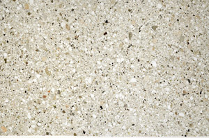 Plane Polarized, N5570