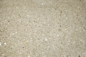 Plane Polarized, N5571