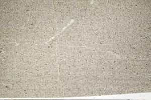 Plane Polarized, N5572