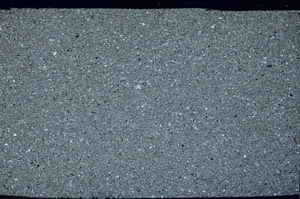 Cross Polarized, N5578