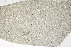 Plane Polarized, N5580