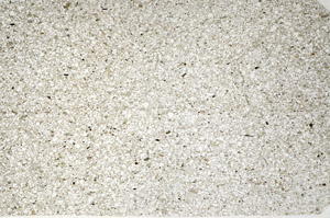 Plane Polarized, N5581