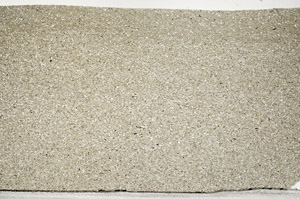 Plane Polarized, N5583