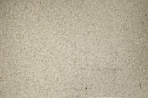 Plane Polarized, N5584