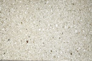 Plane Polarized, N5586