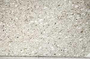 Plane Polarized, N5587