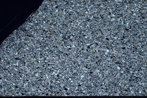 Cross Polarized, N5588