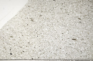 Plane Polarized, N5588