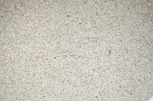 Plane Polarized, N5591