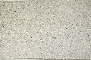 Plane Polarized, N5594