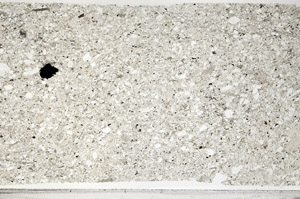 Plane Polarized, N5595