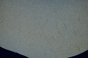 Cross Polarized, N5597