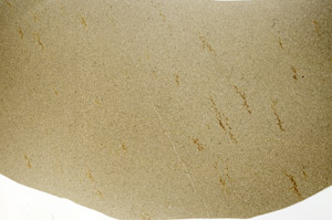 Plane Polarized, N5597